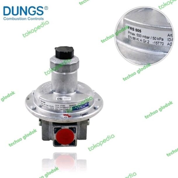 DUNGS FRS 505 gas regulator