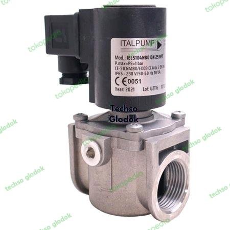 ITALPUMP IELS1DN25NPT - solenoid valve