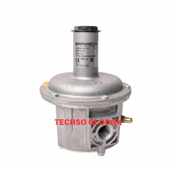GIULIANI ANELLO FG1B15 gas regulator