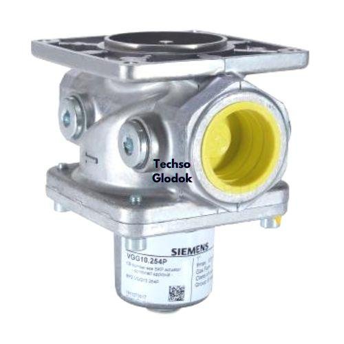 SIEMENS VGG10.254P gas valve