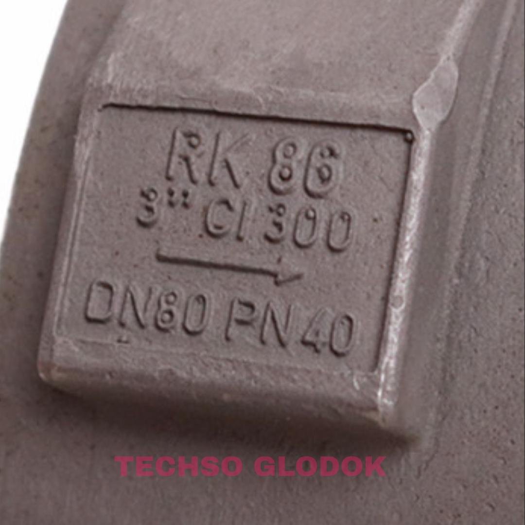 GESTRA RK 86 DN 80 PN 40 disc check valve - Gambar 2