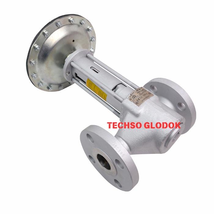 GESTRA MPA 46 DN 40 ANSI 300 blowdown valve