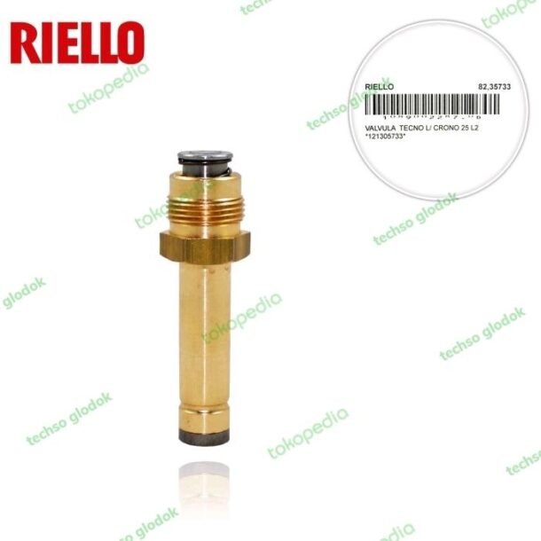 RIELLO 3005733 valve assembly