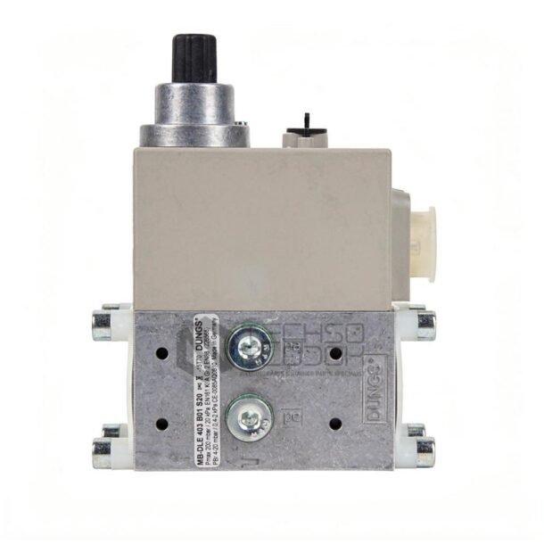 DUNGS MB-DLE 403 B01 S20 Gas Multibloc