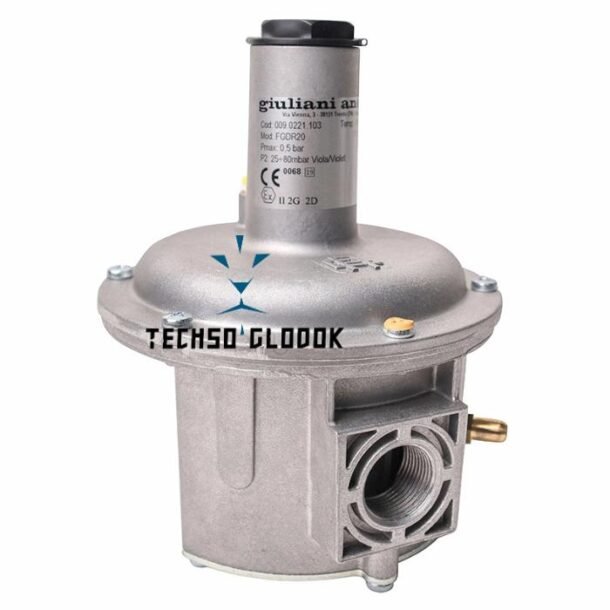 GIULIANI ANELLO FGDR20 gas regulator