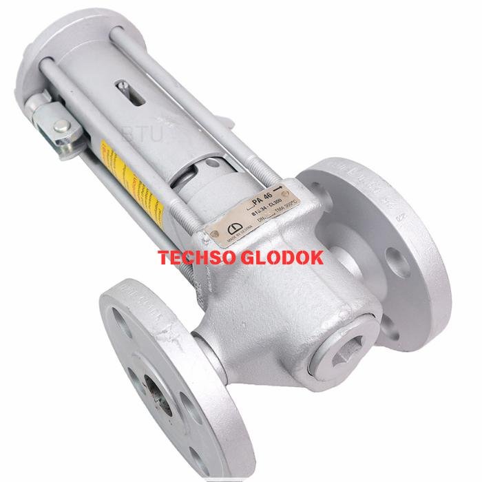 GESTRA PA 46 DN 25 ANSI 300 blowdown valve