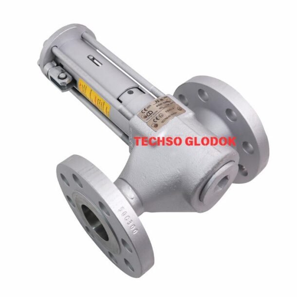 GESTRA PA 46 DN 50 ANSI 300 blowdown valve