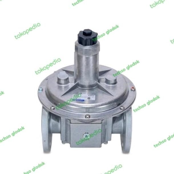 DUNGS FRS 5050 gas regulator