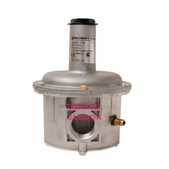 GIULIANI ANELLO FGDR25 gas regulator