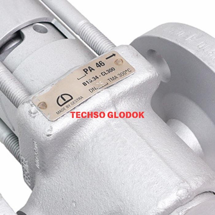 GESTRA PA 46 DN 25 ANSI 300 blowdown valve - Gambar 2