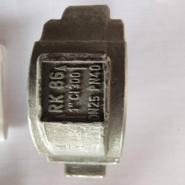 GESTRA RK 86 DN 25 PN 40 disc check valve